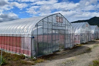 Polietilén fólia üvegház